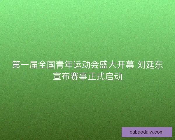 第一届全国青年运动会盛大开幕 刘延东宣布赛事正式启动 第一届全国青年运动会盛大开幕 刘延东宣布赛事正式启动