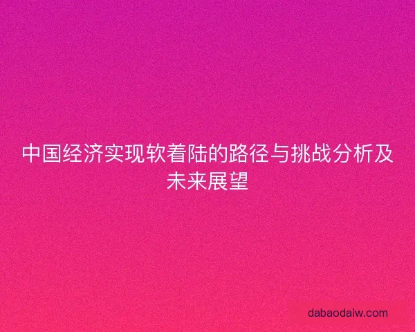 中国经济实现软着陆的路径与挑战分析及未来展望